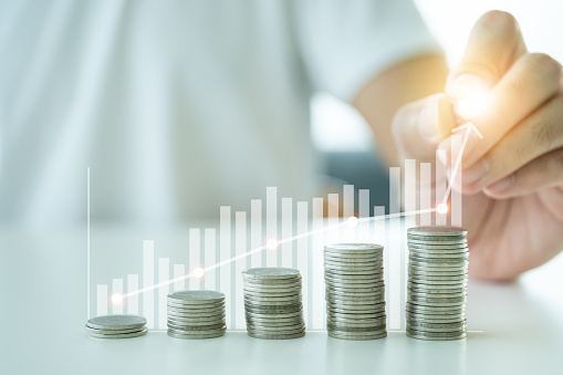 Portfolio Growth